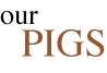 Our Pigs