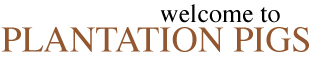Our Company