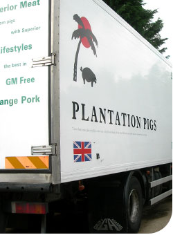 Plantation Pigs Lorry